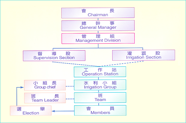 MANAGEMENT SYSTEM OF THE BASIC ORGANIZATION IN THE ASSOCIATION
